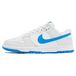 Nike Dunk