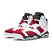 Air Jordan 6