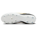 Nike Premier 3 FG