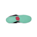 Nike Dunk SB Premier Northern Lights