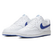 Nike Court Vision Low