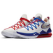 Nike LeBron 17