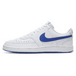 Nike Court Vision Low