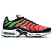 Nike Air Max Plus Worldwide