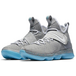 Nike LeBron 14 MAG