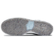 Nike Dunk SB Pro ECrater