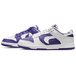 Nike Dunk Low Flip The Old School