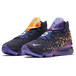 Nike LeBron 17