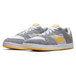 Nike SB Alleyoop