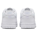 Nike Dunk Se