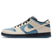 Nike Dunk SB Pro Thunderstorm