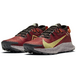 Nike Pegasus TRail 2