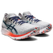 Asics Magic Speed 10