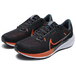 Nike Air Zoom Pegasus 40