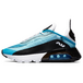 Nike Air Max 2090