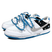 Nike Dunk SB