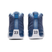Air Jordan 12 Indigo GS