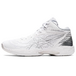 Asics Gel-Hoop V14
