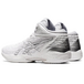 Asics Gel-Hoop V14