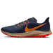Nike Pegasus 36 TRail