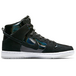 Nike Dunk SB Pro