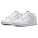Nike Dunk Se