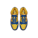 Nike Dunk SB Doernbecher 2019