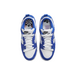 Nike Dunk Disrupt 2