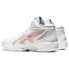 Asics Gel-Hoop V14