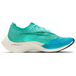 Nike ZoomX VaporFly Next 2
