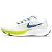 Nike Pegasus 37 TPU