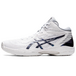 Asics Gel-Hoop V14