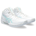 Asics Gel-Hoop V15