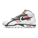 Nike Air TRainer SC Pink Green