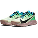 Nike Pegasus TRail 2