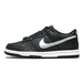 Nike Dunk Low GS