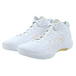 Asics Gel-Hoop V14